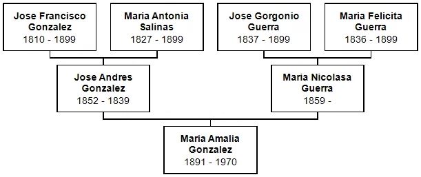 Ancestors of Amalia Gonzalez