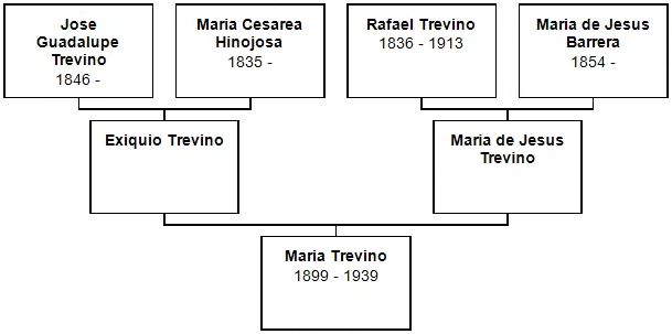 Ancesry of Maria Treviño