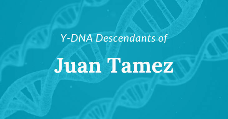 Y-DNA Descendants of Juan Tamez