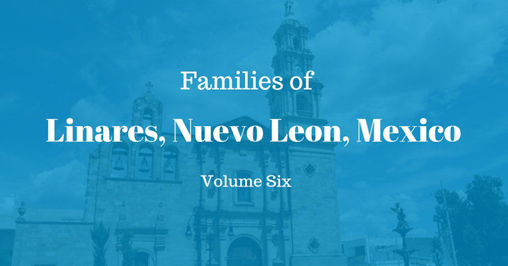 Families of Linares, Nuevo Leon, Mexico Volume Six