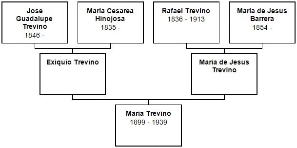 Ancesry of Maria Treviño Ancesry of Maria Treviño