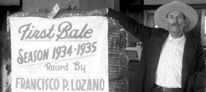 First Bale Season 1934 – 1935 Raised by Francisco P. Lozano First Bale Season 1934 – 1935 Raised by Francisco P. Lozano
