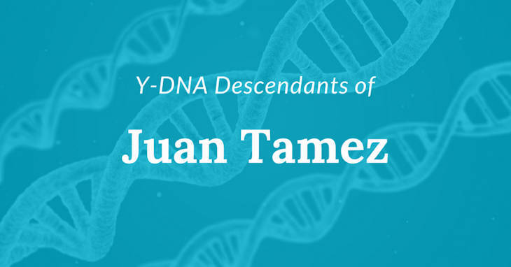 Y-DNA Descendants of Juan Tamez