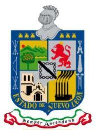 Nuevo leon